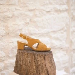 Anne Thomas Pre Vente - Romy Velours Pony