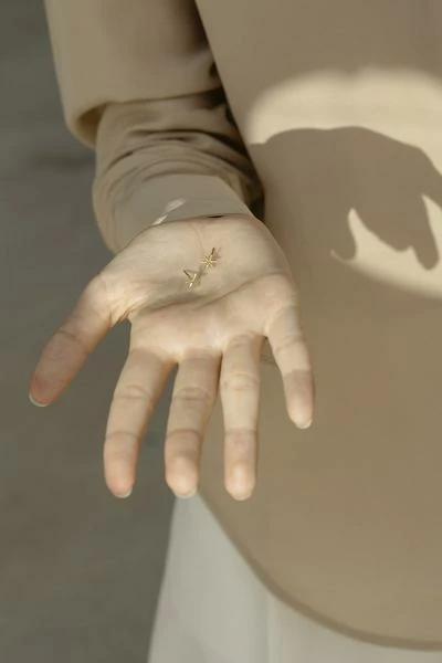 Anne Thomas Allegra Boucles Doreilles Earrings 3 Anne Thomas Allegra Boucles Doreilles Earrings