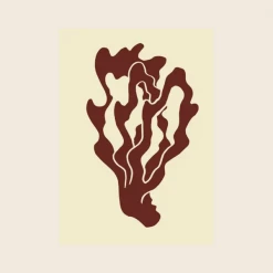 Paper Collective Coral 01 Print | 30 X 40cm