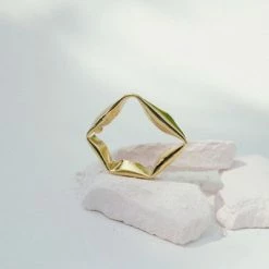 Anne Thomas Alfred Bo / Earrings