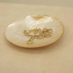 Anne Thomas Celine Collier Necklace