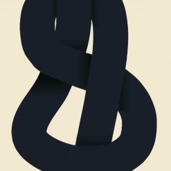 Paper Collective Affiche 30 x 40 The Knot