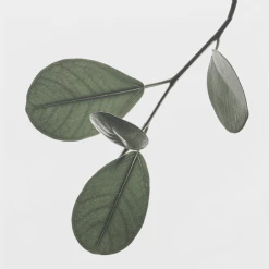 Paper Collective Floating Leaves 05 A4 Plant