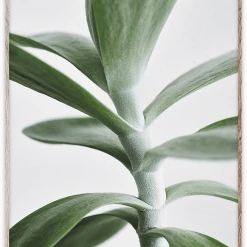 Paper Collective 50 X 70 Cm Affiche Green Home 04 Print