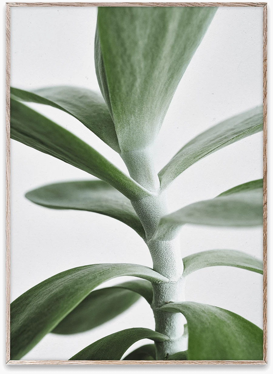 Paper Collective 50 X 70 Cm Affiche Green Home 04 Print 3 Paper Collective 50 X 70 Cm Affiche Green Home 04 Print