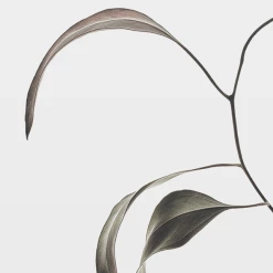 Paper Collective Floating Leaves 07 A5