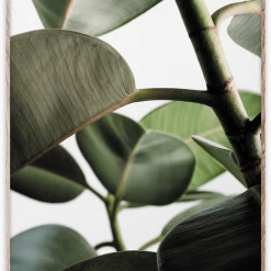 Paper Collective 30x40cm Matte Paper Green Home 03 Poster