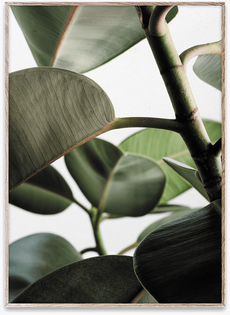 Paper Collective 50 X 70 Cm Affiche Green Home 03 Print 3 Paper Collective 50 X 70 Cm Affiche Green Home 03 Print