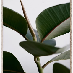 Paper Collective 30x40cm Matte Paper Green Home 02 Poster