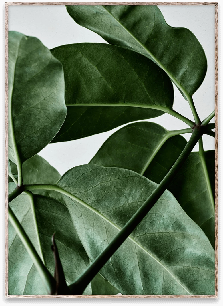 Paper Collective 30 X 40 Cm Affiche Green Home 01 Print 3 Paper Collective 30 X 40 Cm Affiche Green Home 01 Print